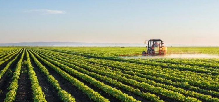 Jalisco primer lugar en producción agroalimentaria de México