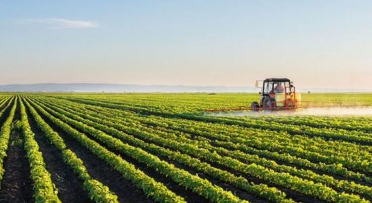 Jalisco primer lugar en producción agroalimentaria de México