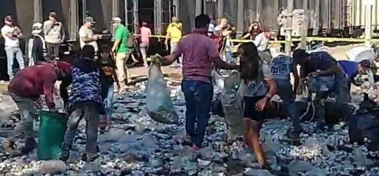 Realizan rapiña de cerveza en tráiler accidentado Realizan rapiña de cerveza en tráiler accidentado
