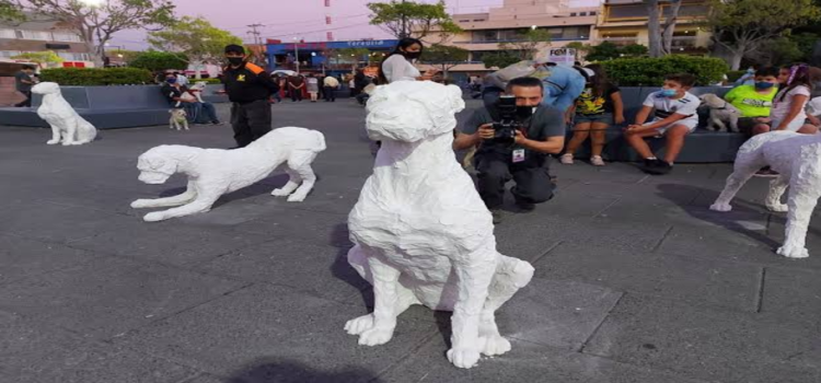 Exhibición de esculturas caninas llega a Jalisco