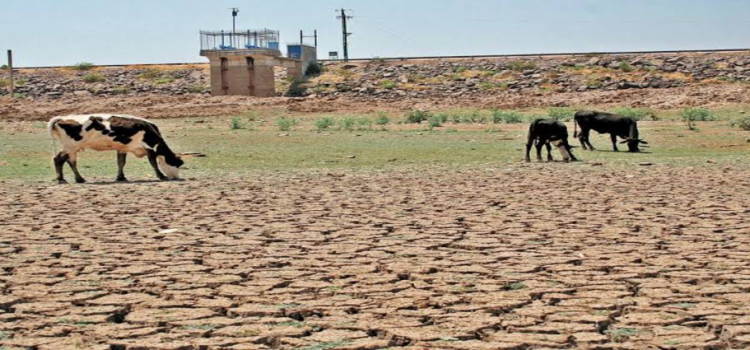 Jalisco es el estado con mayor superficie afectada por la sequía