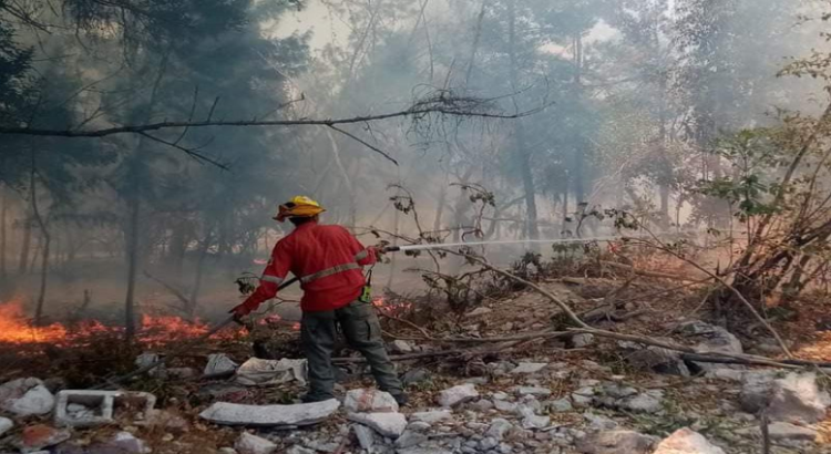 Enrique Alfaro propone endurecer las penas para quien incendie bosques