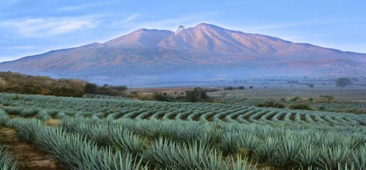 Visita el volcán extinto de Tequila