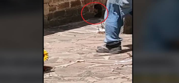 Captan a un niño fantasma en un cementerio de Jalisco