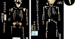 Descubre INAH 11 entierros humanos en Cholula
