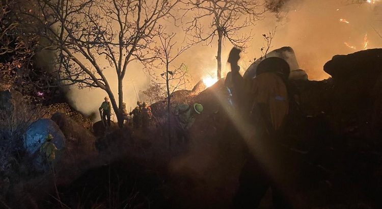 Ciudadanos detienen a una mujer por provocar incendio en el Bosque La Primavera