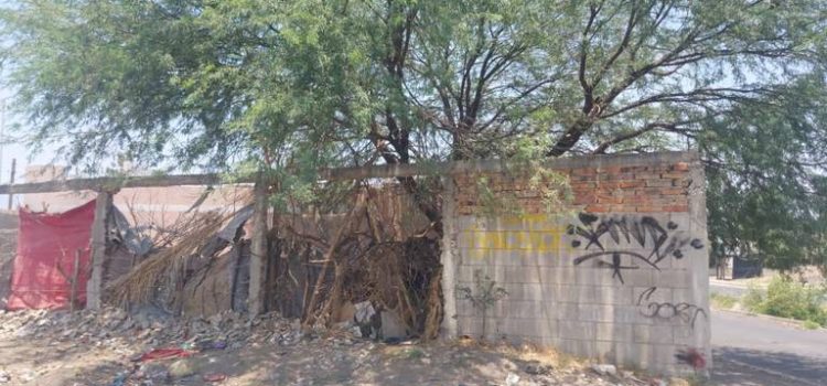 Localizan dos cuerpos en Tlajomulco, Jalisco