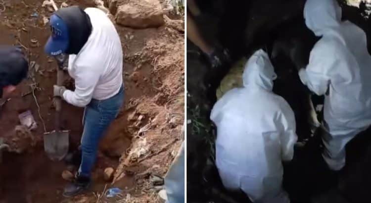 Hallan 50 bolsas con restos humanos en fosa clandestina de Zapopan