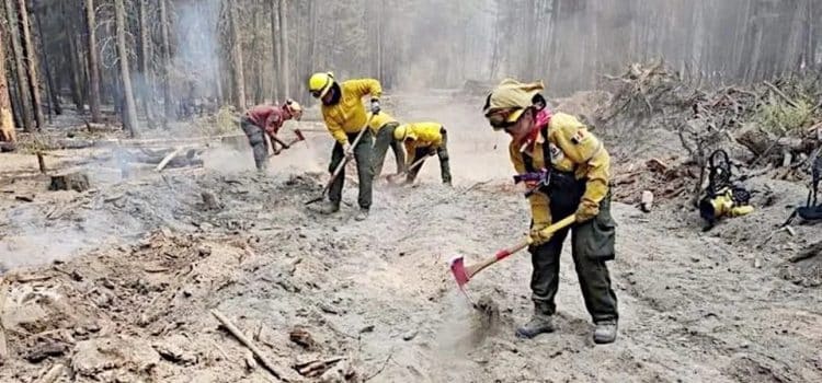 Jalisco es tercer lugar nacional en incendios forestales