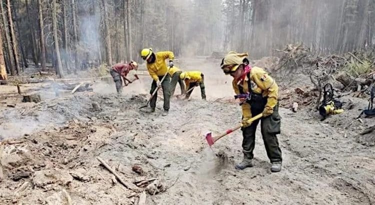 Jalisco es tercer lugar nacional en incendios forestales