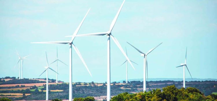 Jalisco impulsa energía sustentable para atraer inversión internacional