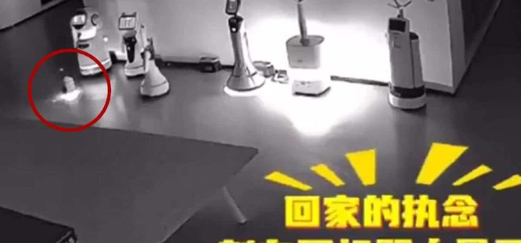 ¿Rebelión de las máquinas? Robot con IA convence a otros androides de dejar de trabajar