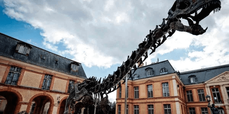 esqueleto de dinosaurio es subastado en 6 millones de dólares