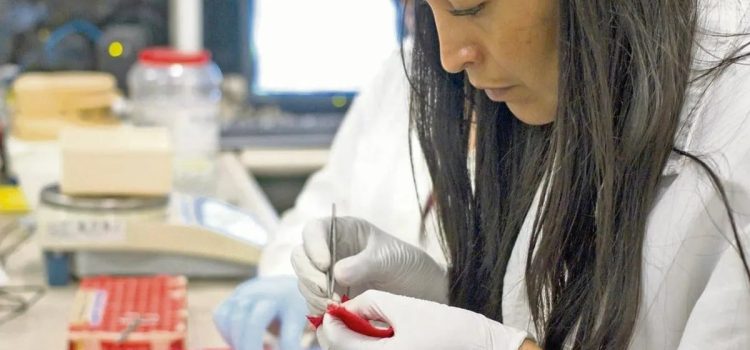 Programa “De la ciencia al mercado” impulsa innovación y emprendimiento en Jalisco