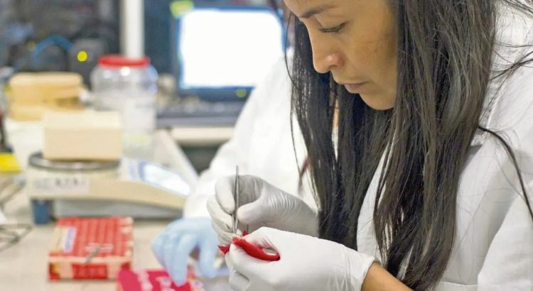 Programa “De la ciencia al mercado” impulsa innovación y emprendimiento en Jalisco
