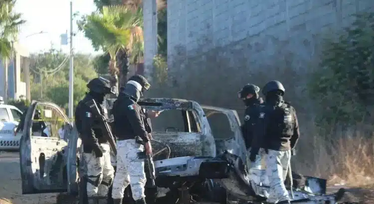 Más de 600 muertos y 200 desaparecidos: el saldo de la pugna entre «Chapitos» y «Mayitos»