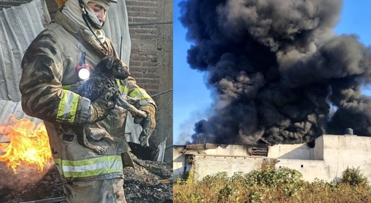 Se incendia fábrica de plásticos en Tonalá, Jalisco