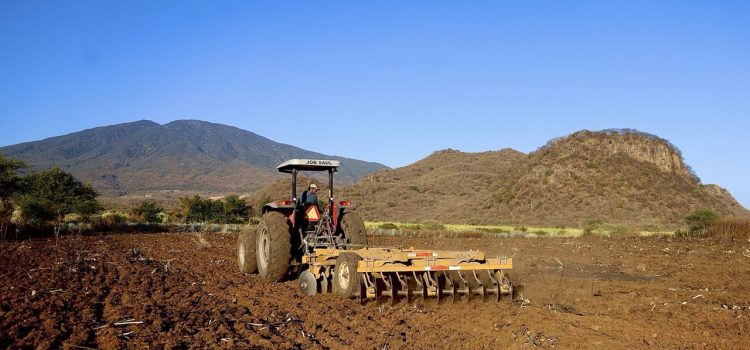 Comienza proceso de reconversión de cultivos de agave en Jalisco