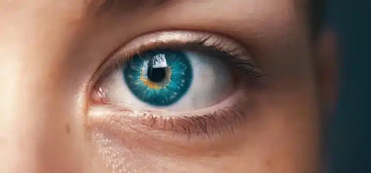 Científicos descubrieron un nuevo color