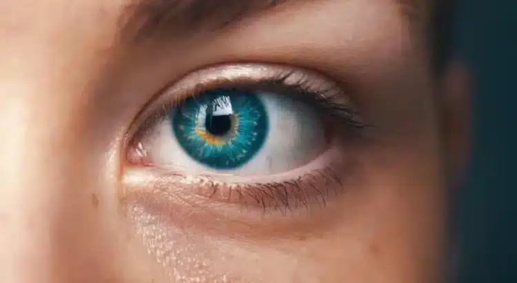 Científicos descubrieron un nuevo color