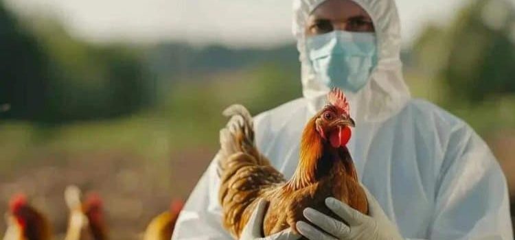 Confirma el IMSS que no hay alerta sanitaria tras caso de influenza aviar en Durango