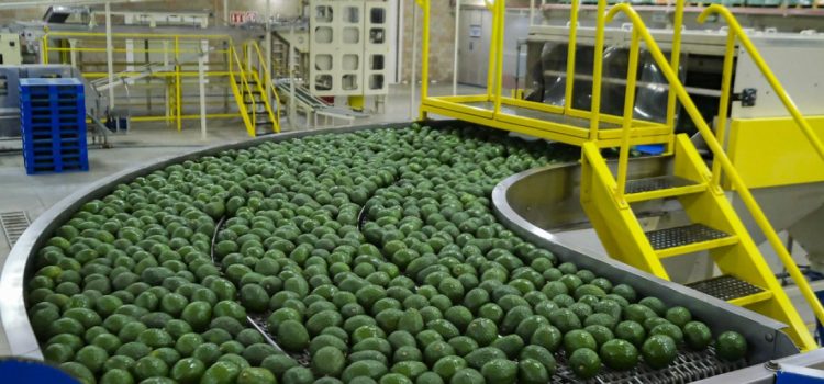 Jalisco se mantiene en el segundo lugar en exportaciones