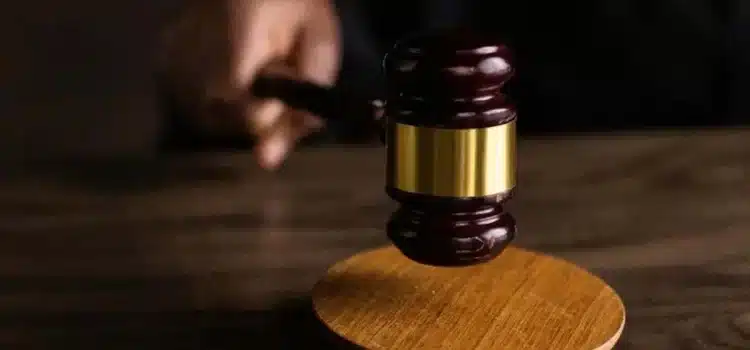 Más de 136 mil personas buscan ser observadores en las elecciones judiciales