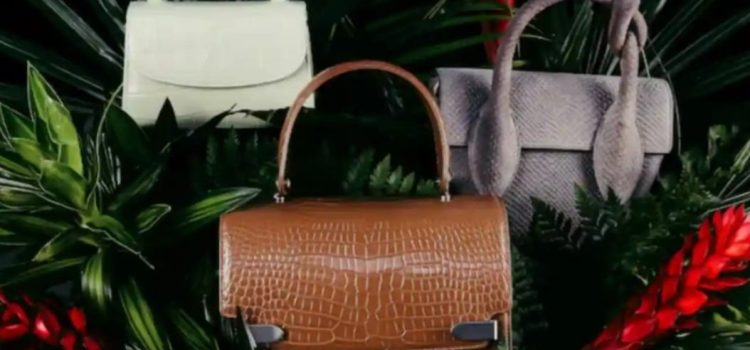 Tu próxima bolsa de lujo podría estar hecha de piel de … dinosaurio