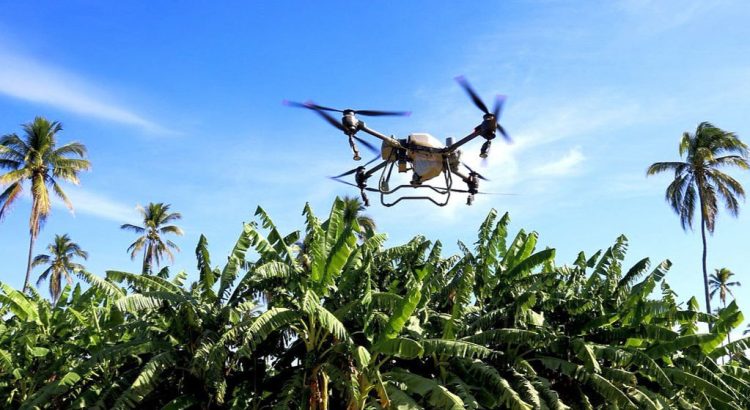 La empresa canadiense SAMI Agtech, muestra interés en establecer una planta en Jalisco