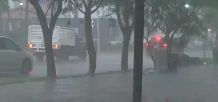 ¡No olvides tu paraguas! Pronostican chubascos y fuertes vientos en Jalisco para este martes ¡No olvides tu paraguas! Pronostican chubascos y fuertes vientos en Jalisco para este martes
