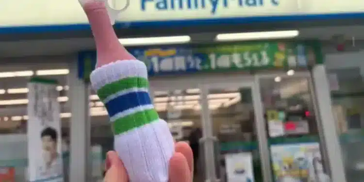 Lanzan en Japón mini calcetas para helado