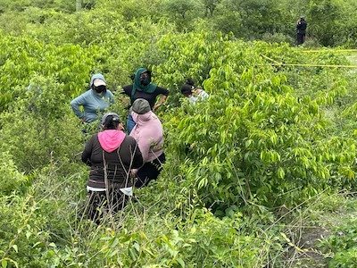 Descubren 3 fosas clandestinas en cerro de Guerrero