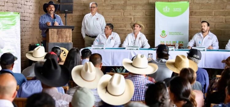 Impulsa SADER Jalisco la producción de raicilla