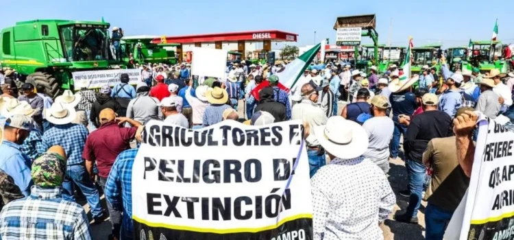 Jalisco propone 180 millones de pesos para apoyar a productores de maíz y resolver bloqueos Jalisco propone 180 millones de pesos para apoyar a productores de maíz y resolver bloqueos