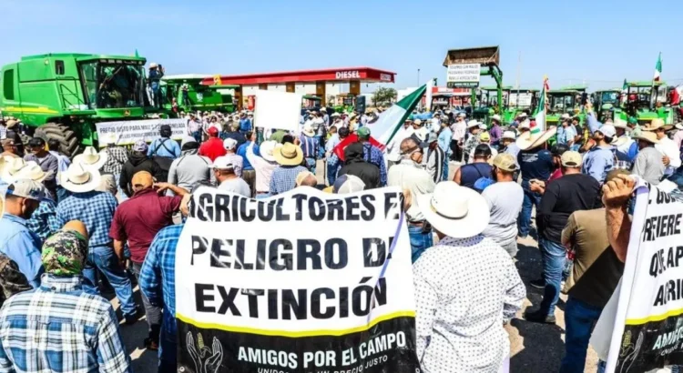 Jalisco propone 180 millones de pesos para apoyar a productores de maíz y resolver bloqueos Jalisco propone 180 millones de pesos para apoyar a productores de maíz y resolver bloqueos