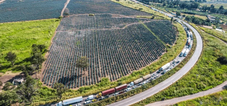 Productores de maíz levantan los 11 bloqueos que mantenían en carreteras de Jalisco