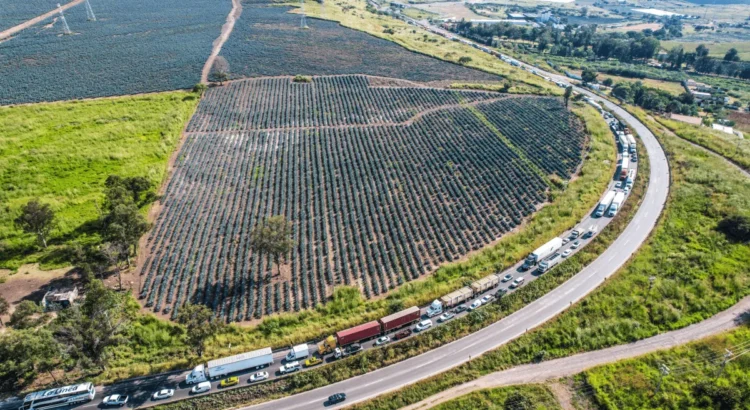 Productores de maíz levantan los 11 bloqueos que mantenían en carreteras de Jalisco Productores de maíz levantan los 11 bloqueos que mantenían en carreteras de Jalisco