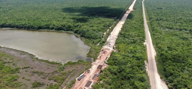Reconoce Semarnat daño ambiental por el Tren Maya: ocho cavernas y cenotes afectados en el tramo 5 Reconoce Semarnat daño ambiental por el Tren Maya: ocho cavernas y cenotes afectados en el tramo 5