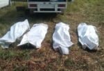 Descubren al menos 89 bolsas con restos humanos en fosa clandestina de Zapopan; suma total supera las 300