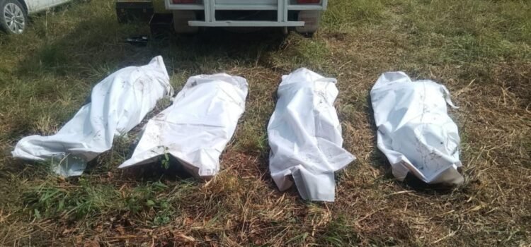 Descubren al menos 89 bolsas con restos humanos en fosa clandestina de Zapopan; suma total supera las 300