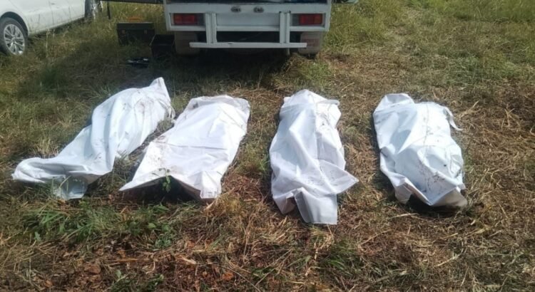 Descubren al menos 89 bolsas con restos humanos en fosa clandestina de Zapopan; suma total supera las 300