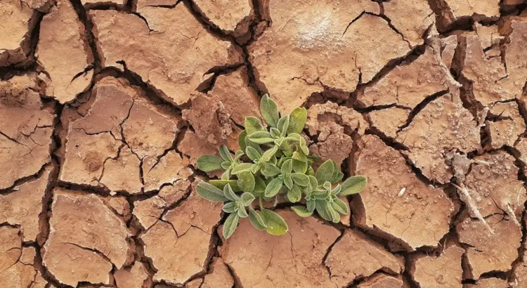 Se dirige el planeta hacia un catastrófico calentamiento de 2.5°C advierte la ONU Se dirige el planeta hacia un catastrófico calentamiento de 2.5°C advierte la ONU